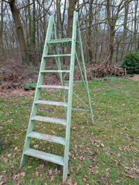 Oude Vintage Groene Schilderstrap Trap