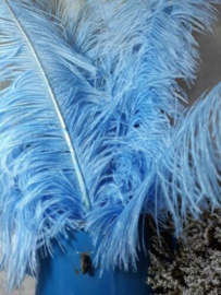 Struisvogelveer Old Blue - Verweerd Blauw 60-70 cm