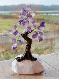 Edelsteen Boom Bonsai Geluksboom Levensboom Amethist