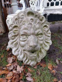 Oude Brocante Betonnen Tuinbeeld  Spuitfiguur Leeuw