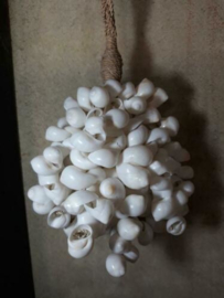 Schelpenhanger - Schelpenslinger  met Witte Schelpen 45 cm