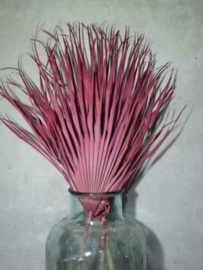 Gedroogde Droogbloemen Palmblad Palm Chamaerops Cerise Roze 3st.