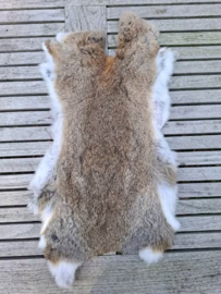 Konijnenvachtje Natuur Bruin