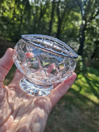 Oude Vintage Engelse Pique Fleur Flowerbowl Bloemensteker Kristal