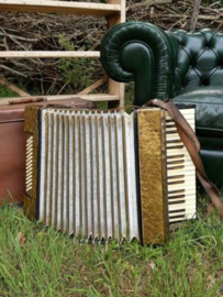 Oude Vintage Muziek Trekharmonica Accordeon in Koffer