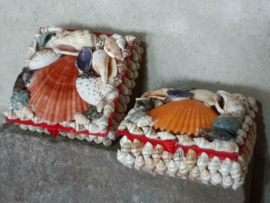 Schelpendoosje Schelpenkistje Schelpen Doosje Bijoux Gekleurd
