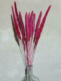 Gedroogde Mini Fluffy Pampas Grassen Droogbloemen Cerise Roze