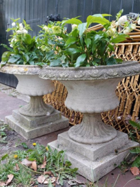 Oude Brocante Set Franse Monumentale Betonnen Tuinvaas Jardiniere