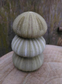 Groene Zee Egel Zeeegel 4-5 cm 3 stuks