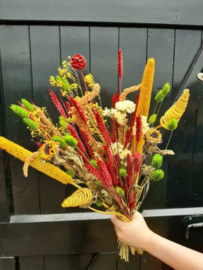 Gemengd Droogboeket Droogbloemen Bonte Mix