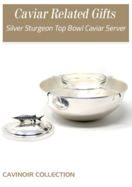 Silver Sturgeon Top Bowl Caviar Server