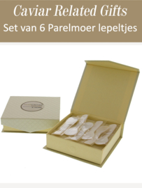 Mother of Pearl Spoon set van 6 stuks (petite - 7cm)