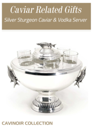 Metal Caviar & Vodka Server