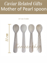 Mother of Pearl spoons set van 4 stuks (large 11cm) in doosje