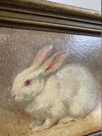Piep klein portret van een konijn in houten lijst. Olieverf schilderijtje op doek