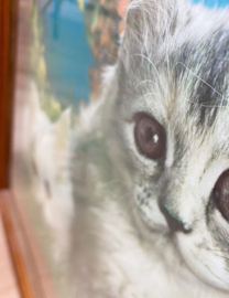 Grote vintage 3D prent met poesjes  in lijst. Retro katten poster.