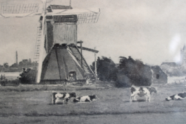 Hollands landschap met molens en koeien in lijst. Vintage prent achter glas.