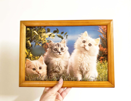 Vintage 3D prent met poesjes in lijst. Retro katten poster.
