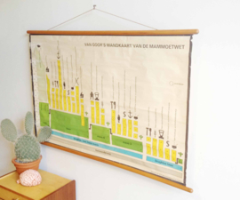 Oude retro schoolplaat - Van Goors Mammoetwet. Vintage wandkaart/pull down chart