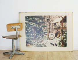 Vintage dubbelzijdige schoolplaat - vogels en vissen. Retro plaat - Koekkoek