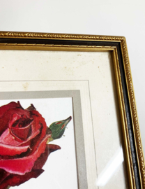 Set van 3 bloemen prenten in lijsten. Vintage botanische posters met rozen