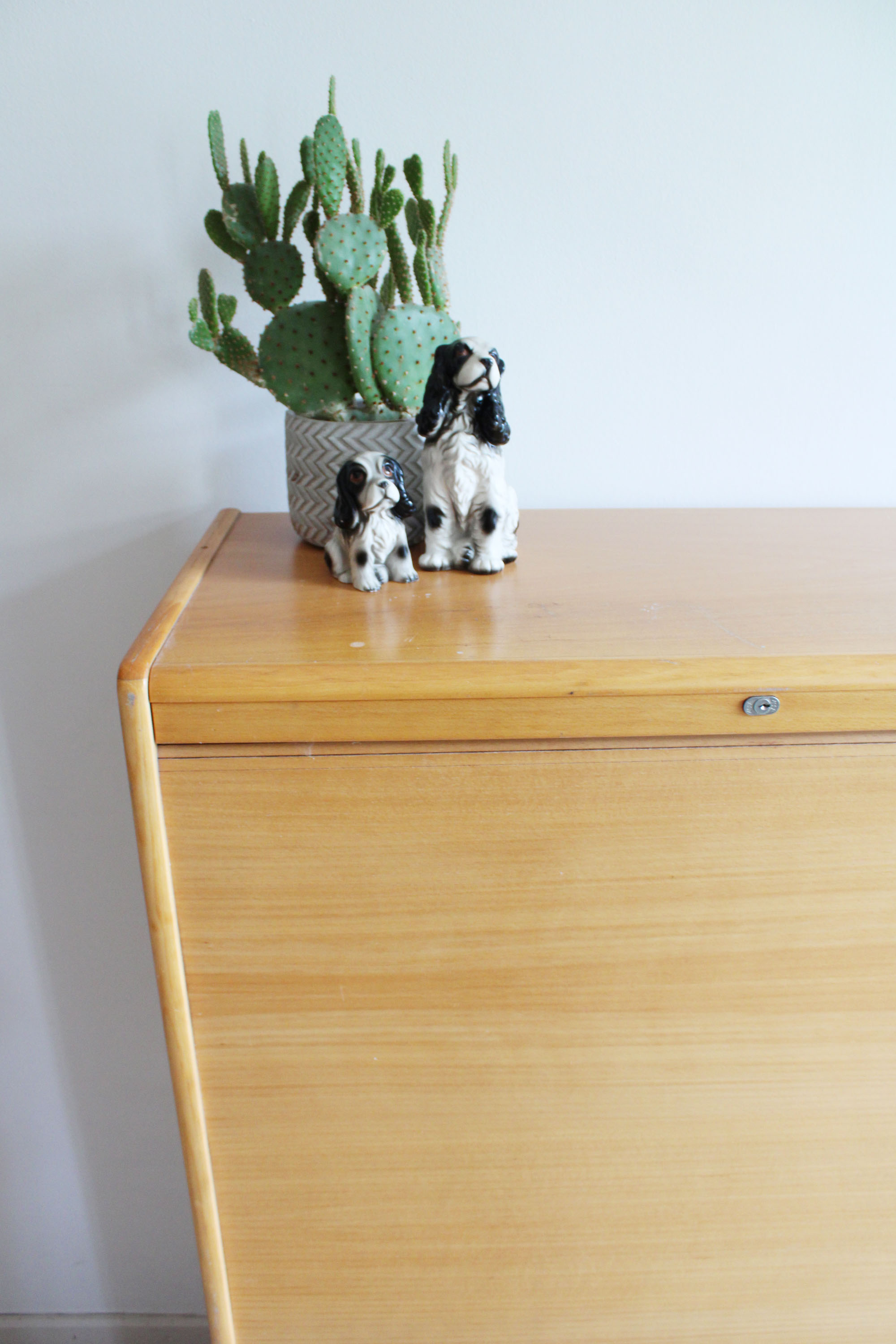 Vintage kast met roldeur. Houten retro school / archiefkast