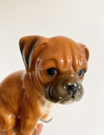 Koddig stenen honden beeldje. Retro beeld van een boxer puppy