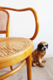 Houten vintage cafe stoel met armleuning. Retro stoeltje in Thonet stijl, model 210?