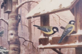 Dubelzijdige schoolplaat van Koekkoek. Vogels en vissen. Vintage poster op karton