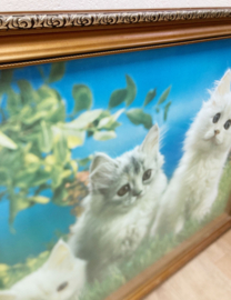 Grote vintage 3D prent met poesjes  in lijst. Retro katten poster.