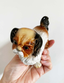 Vintage beeldje - Pekinees - Cama Valencia. Keramieken retro honden beeld