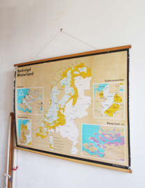 Vintage schoolplaat - Bedreigd waterland. Retro landkaart Nederland, o.a. de rampvloed uit 1953 en het Deltaplan