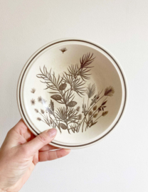 Set van 5 vintage borden - Pinewood W.H. Grindley. Aardewerk retro servies