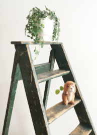 Originele houten vintage trap. Grote groene schilders ladder.