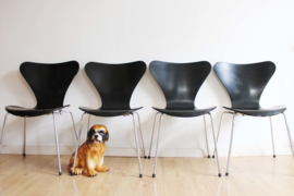 Set van 5 zwarte vlinderstoelen. Retro design stoel, Arne Jacobsen voor Fritz Hansen