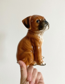 Koddig stenen honden beeldje. Retro beeld van een boxer puppy