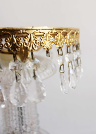 Glazen boudoir bijzettafeltje met gouden details. Vintage plantentafel