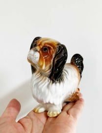 Vintage beeldje - Pekinees - Cama Valencia. Keramieken retro honden beeld