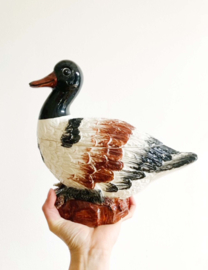 Aardewerk vintage schaal met deksel in eend vorm. Italiaanse retro vogel pot