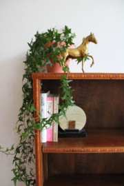 Antiek boekenkastje. Houten vintage kast met planken.