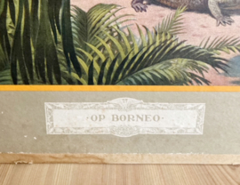 Dubbelzijdige schoolplaat van Koekkoek/Borneo. Vintage poster op karton