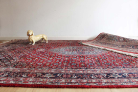 Handgeknoopt Oosters kleed met bloemen. Boho vintage tapijt - Bidjar?