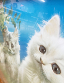 Grote vintage 3D prent met poesjes  in lijst. Retro katten poster.