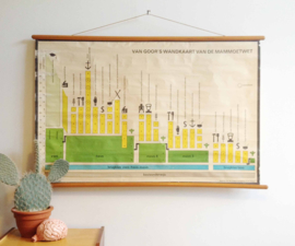 Oude retro schoolplaat - Van Goors Mammoetwet. Vintage wandkaart/pull down chart