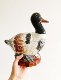 Aardewerk vintage schaal met deksel in eend vorm. Italiaanse retro vogel pot