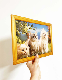 Vintage 3D prent met poesjes in lijst. Retro katten poster.