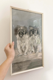 Originele tekening met 2 hondjes. Getekend portret van Pekineesjes in vintage lijst