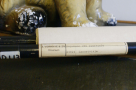 Het lancetvisje: Vintage schoolplaat, Hagemann/Jung-Koch Quentell - dierkunde
