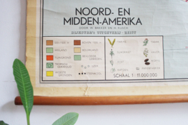 Vintage schoolplaat - Noord en Midden Amerika. Retro landkaart - USA - Canada -