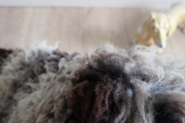 Heerlijk zachte schapenvacht.  Origineel wollen Flat Sheepje :)